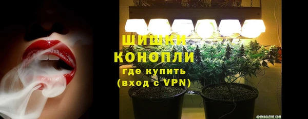 молекула духа Горно-Алтайск