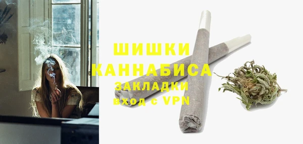 ПСИЛОЦИБИНОВЫЕ ГРИБЫ Горнозаводск