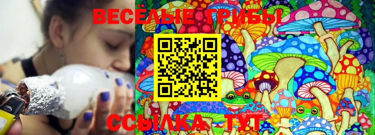 Псилоцибиновые грибы GOLDEN TEACHER Красногорск